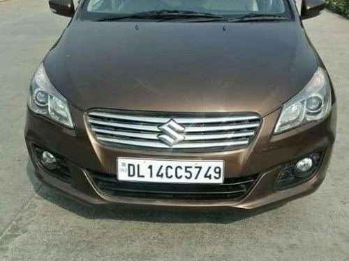 2016 Maruti Suzuki Ciaz for sale at low price