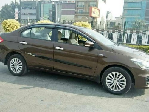 2016 Maruti Suzuki Ciaz for sale at low price