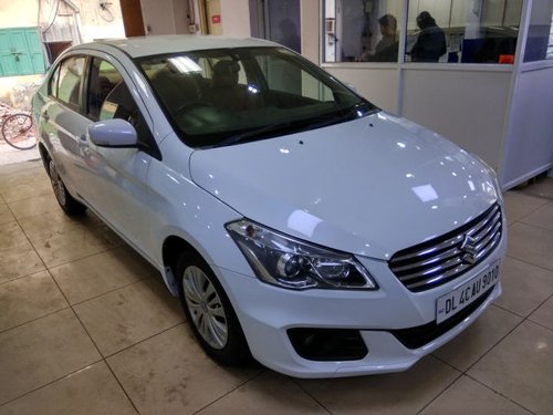 2016 Maruti Suzuki Ciaz for sale at low price