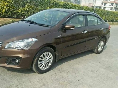 2016 Maruti Suzuki Ciaz for sale at low price