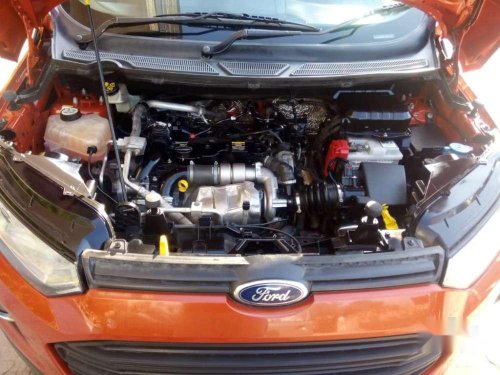 Used 2013 Ford Escort for sale
