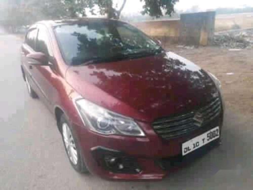 2015 Maruti Suzuki Ciaz for sale at low price