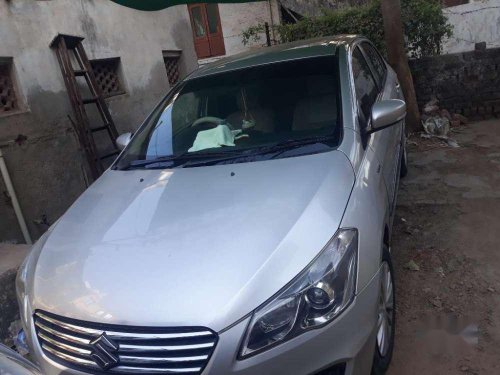 2015 Maruti Suzuki Ciaz for sale at low price