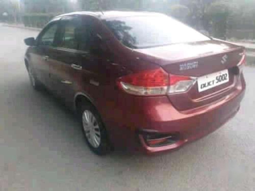 2015 Maruti Suzuki Ciaz for sale at low price