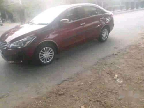 2015 Maruti Suzuki Ciaz for sale at low price