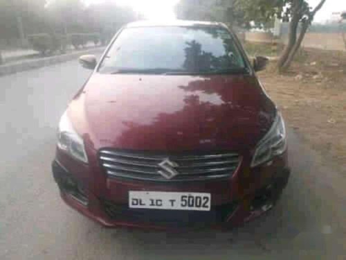 2015 Maruti Suzuki Ciaz for sale at low price