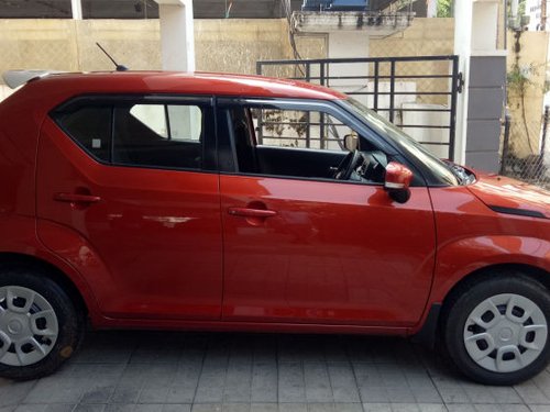 Used Maruti Suzuki Ignis car at low price