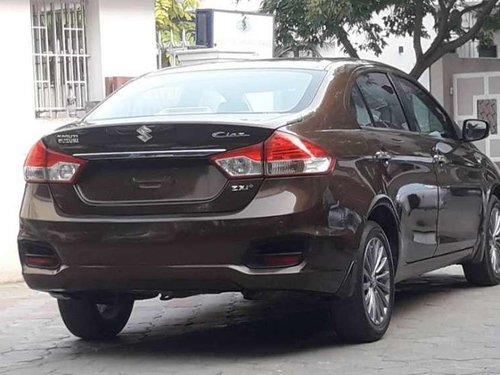 Used Maruti Suzuki Ciaz car 2015 for sale at low price