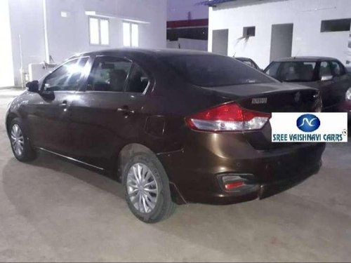 Used Maruti Suzuki Ciaz car 2016 for sale at low price