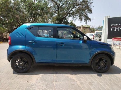 Used Maruti Suzuki Ignis car at low price