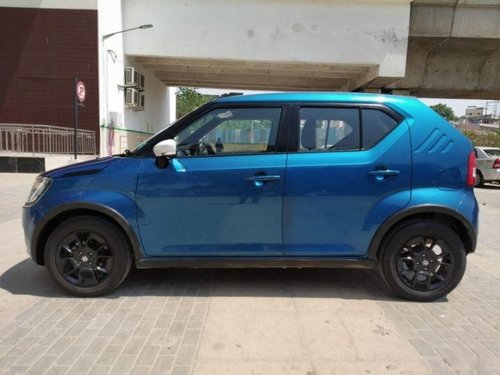 Used Maruti Suzuki Ignis car at low price