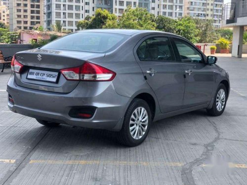 2017 Maruti Suzuki Ciaz for sale at low price