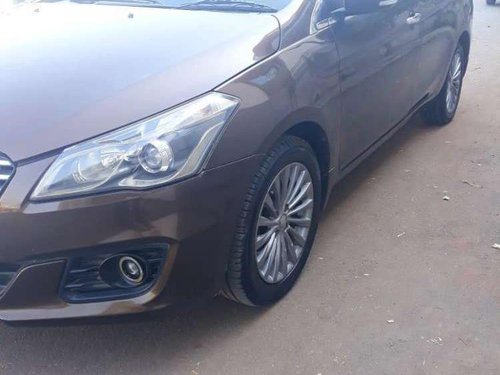 2014 Maruti Suzuki Ciaz for sale