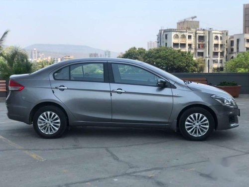 2017 Maruti Suzuki Ciaz for sale at low price