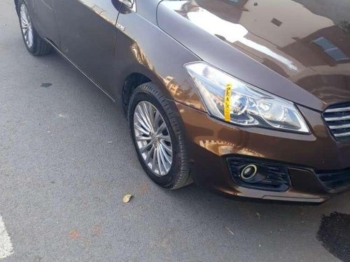 2014 Maruti Suzuki Ciaz for sale