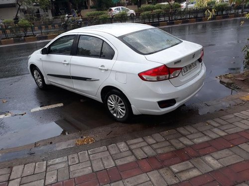 2015 Maruti Suzuki Ciaz for sale at low price