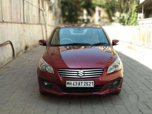 2015 Maruti Suzuki Ciaz for sale at low price