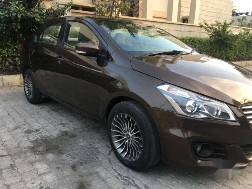 2016 Maruti Suzuki Ciaz for sale