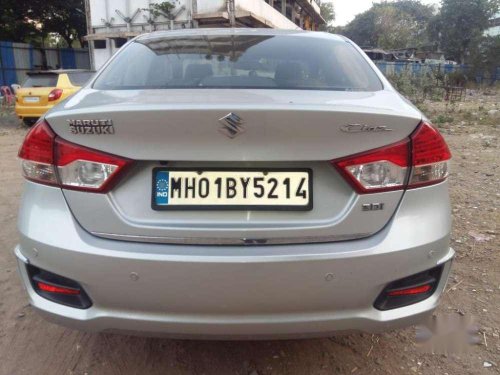 2015 Maruti Suzuki Ciaz for sale at low price