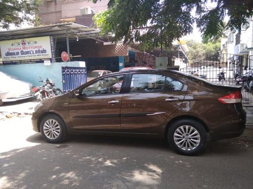 2014 Maruti Suzuki Ciaz for sale at low price