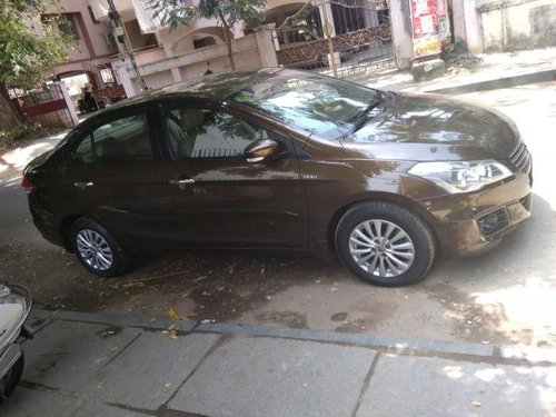 2014 Maruti Suzuki Ciaz for sale at low price