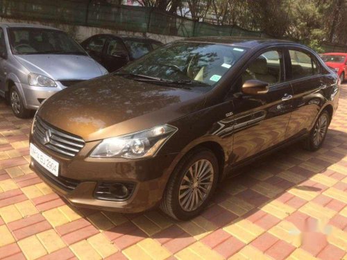 2015 Maruti Suzuki Ciaz for sale