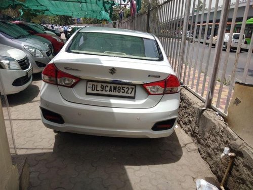 Used Maruti Suzuki Ciaz car at low price