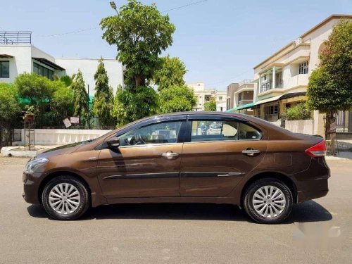 2014 Maruti Suzuki Ciaz for sale at low price