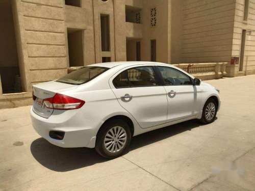 2015 Maruti Suzuki Ciaz for sale at low price