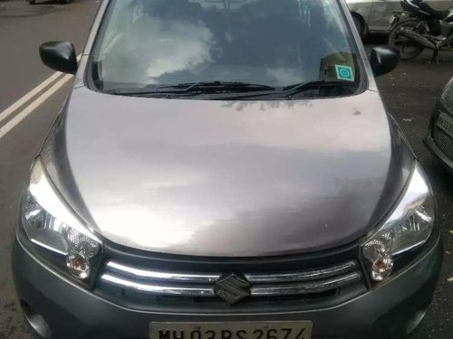 Maruti Suzuki Celerio 2014 for sale 