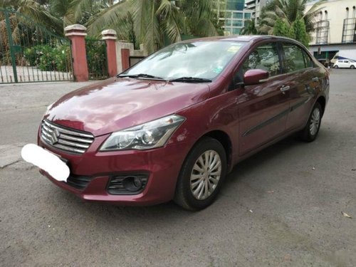 2015 Maruti Suzuki Ciaz MT for sale