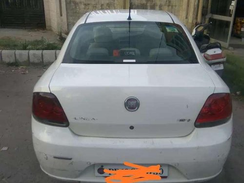 Used Fiat Linea car MT at low price