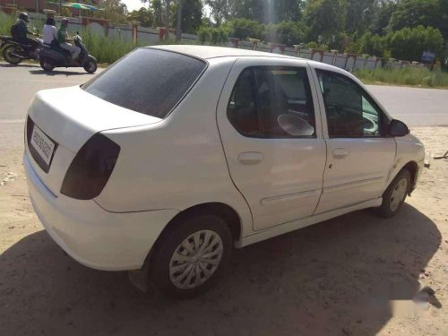 Used Fiat 500 car MT at low price