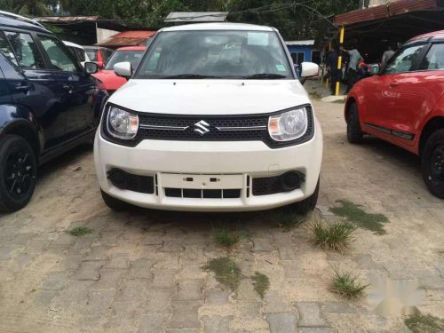 Maruti Suzuki Ignis 2019 MT for sale 