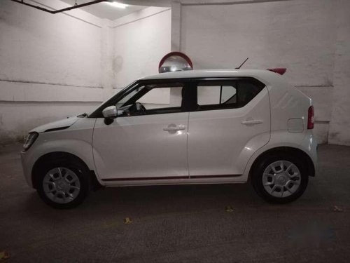 Used Maruti Suzuki Ignis car MT at low price