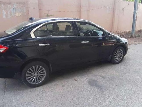 Used Maruti Suzuki Ciaz car MT at low price