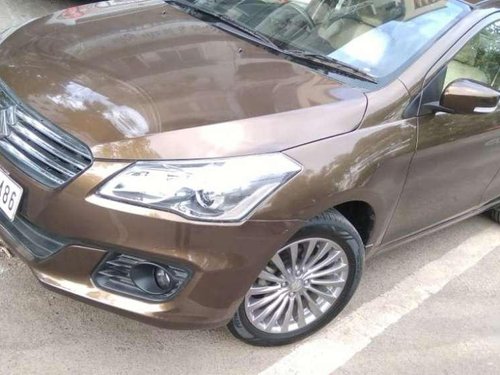 Used Maruti Suzuki Ciaz Alpha MT for sale at low price