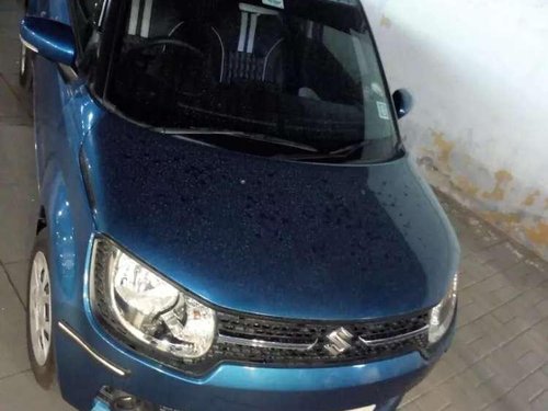 Used Maruti Suzuki Ignis MT car at low price