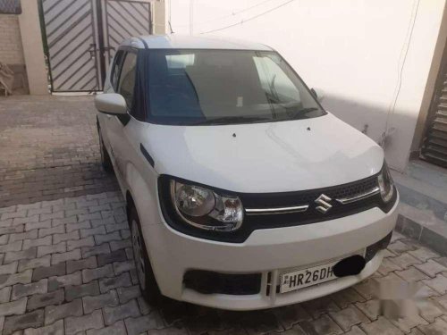 Used Maruti Suzuki Ignis MT car at low price