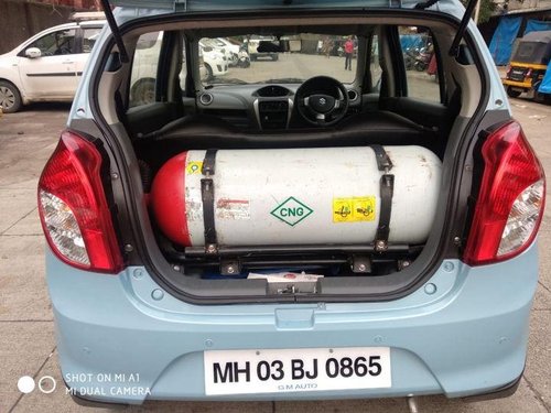 Used Maruti Suzuki Alto 800 CNG LXI 2013 MT for sale