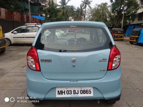 Used Maruti Suzuki Alto 800 CNG LXI 2013 MT for sale