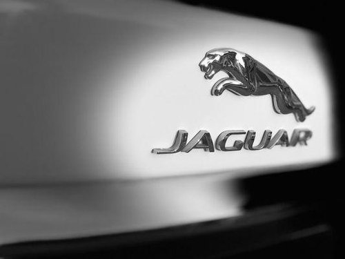 Jaguar XF 2.2 Litre Luxury AT for sale