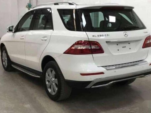 Used Mercedes Benz M Class AT for sale at low price