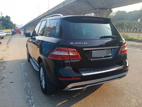 Used Mercedes Benz M Class AT car at low price