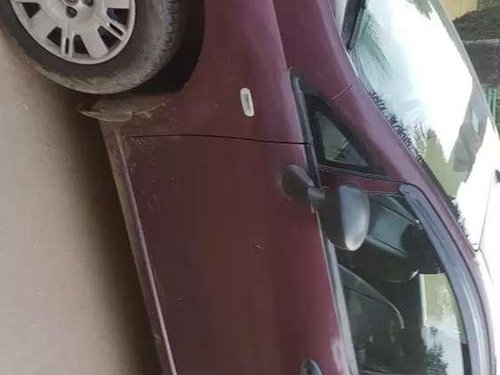 2013 Fiat Punto MT for sale in Baddi