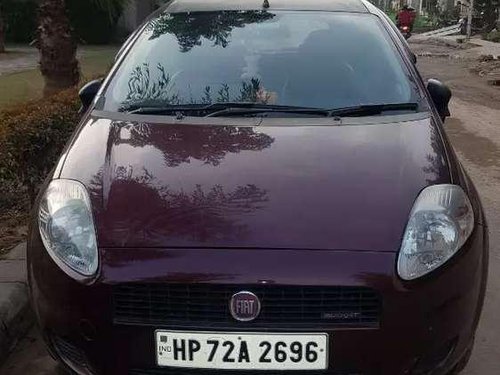 2013 Fiat Punto MT for sale in Baddi