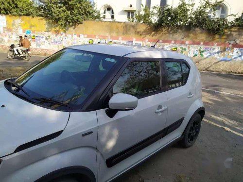 Used Maruti Suzuki Ignis MT for sale in Bhilwara at low price