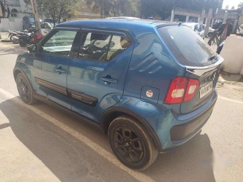 Used Maruti Suzuki Ignis 1.2 Alpha MT car at low price in Nagar