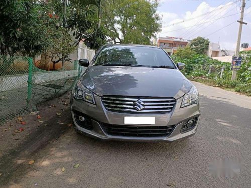 Used 2019 Maruti Suzuki Ciaz S MT for sale in Coimbatore 