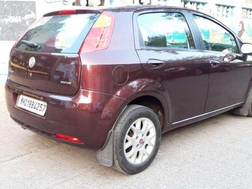 Used Fiat Punto MT for sale in Pune at low price